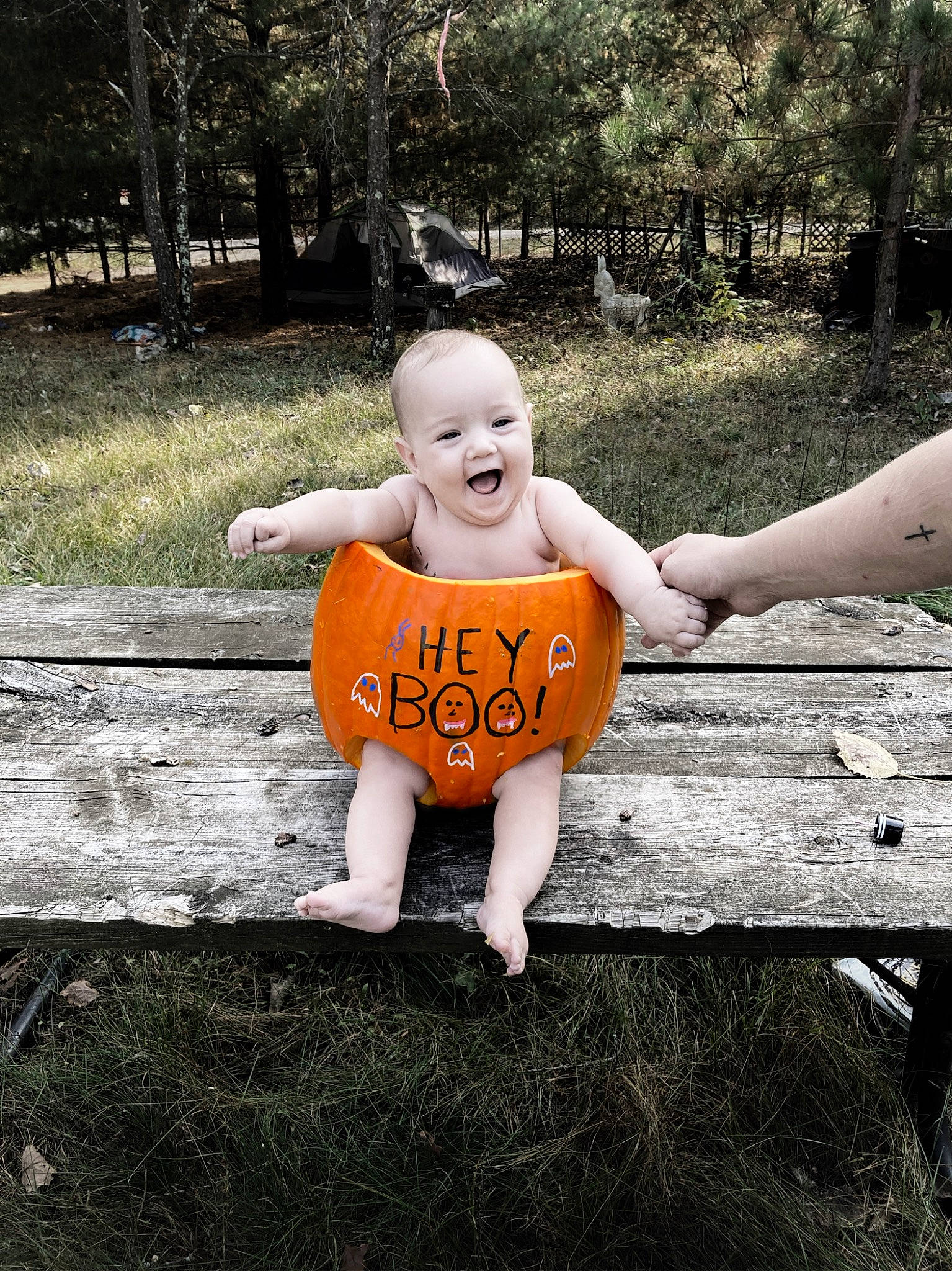 Ellianna joined the competition — help win amazing prizes! child, eye, fun, grass, happy, landscape, lawn, leisure, people_in_nature, person, plant, pumpkin, recreation, shorts, sitting, smile, t_shirt, toddler, tree, vegetable