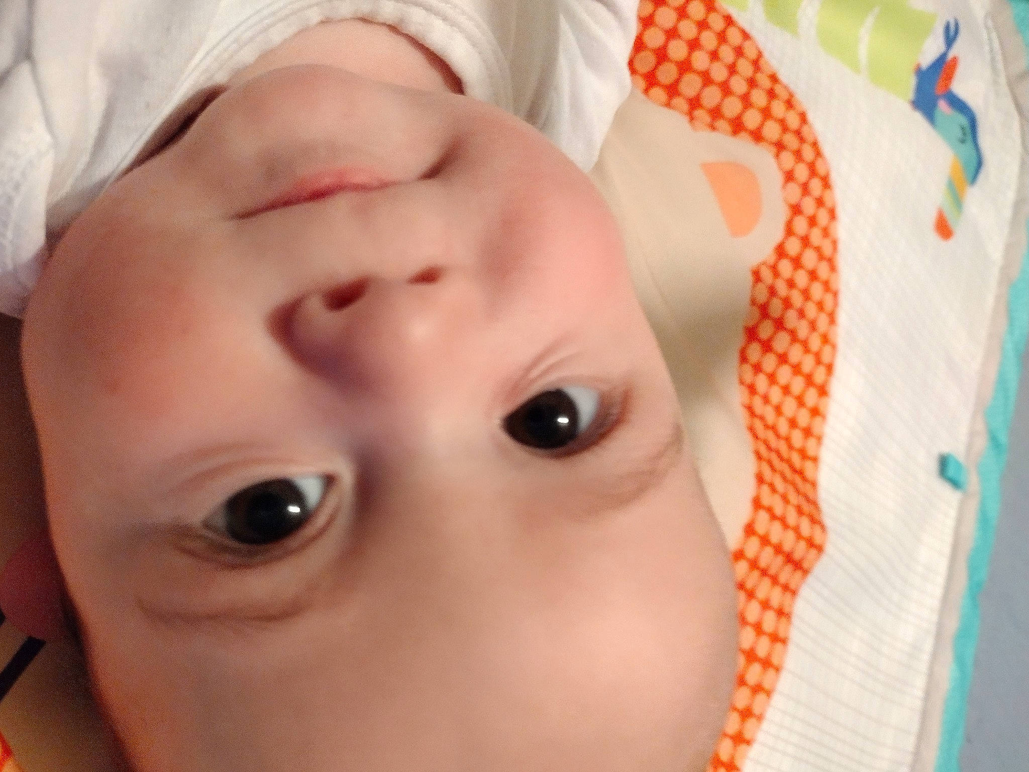 Preston is registered to the contest to win money with this photo: baby, baby_toddler_clothing, cheek, child, chin, eye, eyebrow, eyelash, facial_expression, finger, fun, happy, headwear, iris, lip, mouth, neck, nose, person, skin