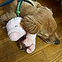 dog, puppy, sleeping, wooden_floor, plush_toy, pig_toy, brown_fur, leash, resting, pet, cute, indoor, cozy, animal, fur, snout, ears, paw, toy, companion