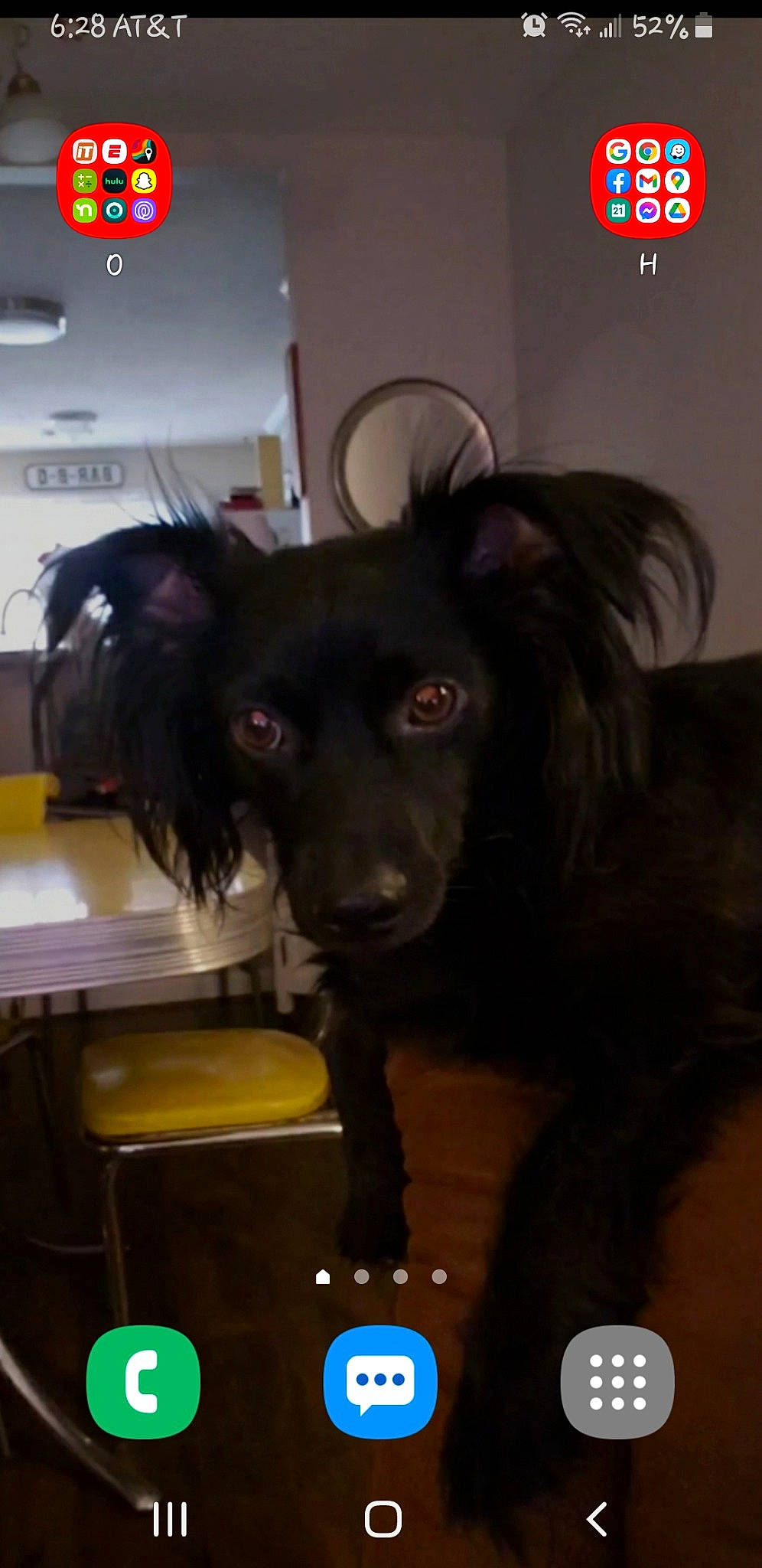 Buck is registered to the contest to win money with this photo: canidae, carnivore, chair, companion_dog, dog, dog_breed, ear, event, fur, liver, logo, room, snout, sporting_group, whiskers, working_animal, working_dog