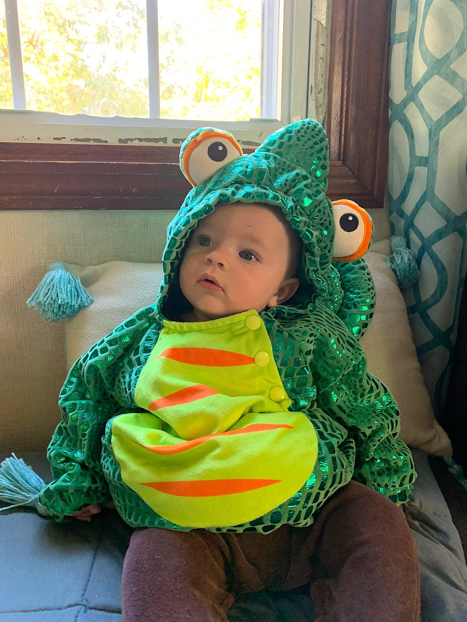 Evan is registered to the contest to win money with this photo: baby, baby_toddler_clothing, cap, chair, child, costume, event, fun, grass, green, happy, headgear, headwear, human_body, leisure, person, sitting, standing, thigh, toddler