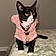 Kitty