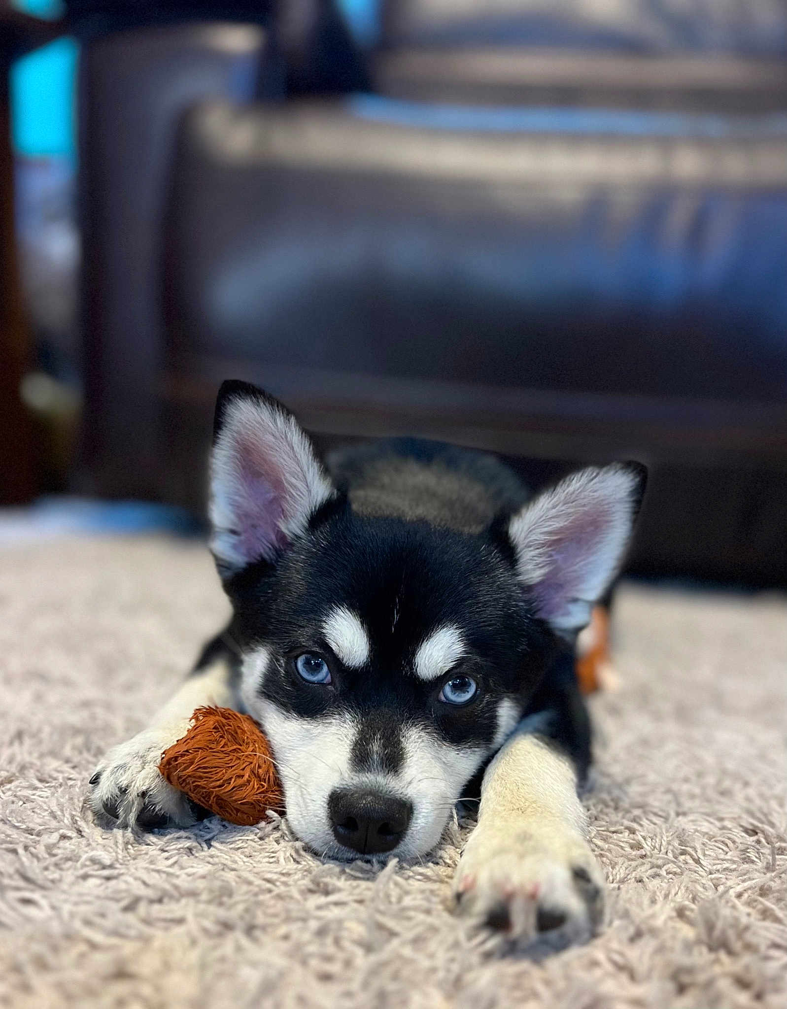 Kodiak