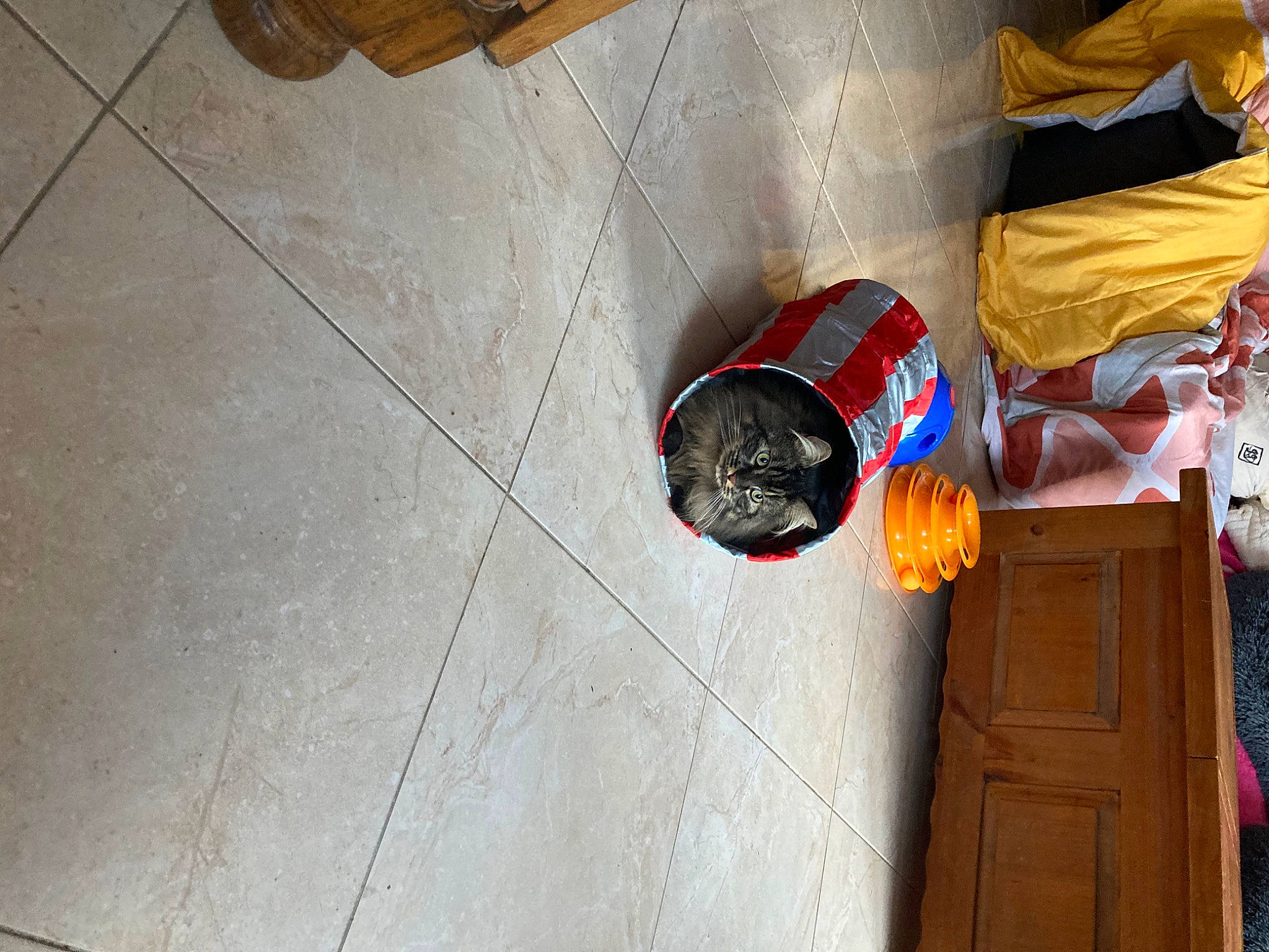 Sacha a rejoint le concours — aidez-le/la à gagner de superbes lots ! composite_material, concrete, door, flooring, fun, hardwood, home_door, room, varnish, wood, wood_flooring, wood_stain