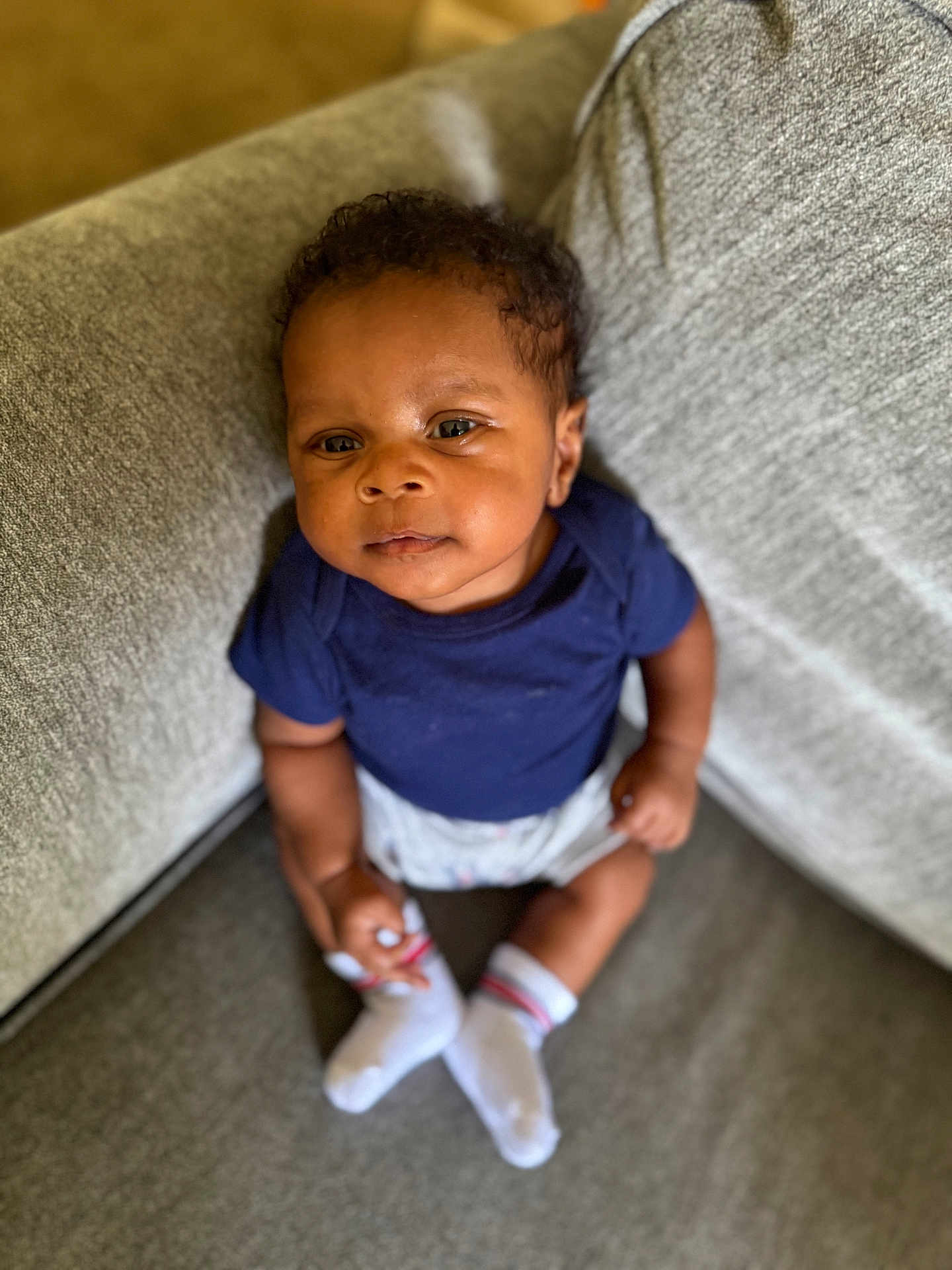 Phoenix is registered to the contest to win money with this photo: baby, child, sitting, couch, cushion, blue_shirt, shorts, white_socks, indoor, carpet, person, curly_hair, infant, portrait, looking_up, hands, feet, comfortable, soft_lighting, cozy