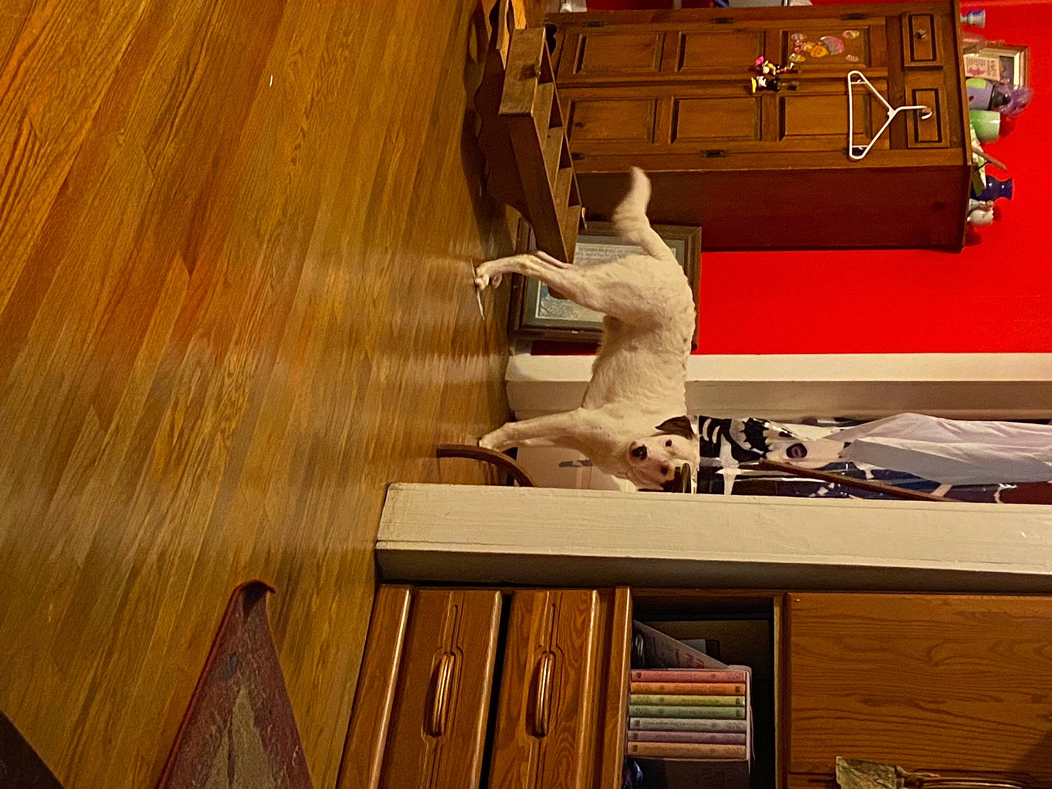 Sparrow is registered to the contest to win money with this photo: art, building, floor, flooring, furniture, hardwood, laminate_flooring, lumber, pattern, plank, plywood, rectangle, room, sculpture, shelving, table, varnish, wood, wood_flooring, wood_stain