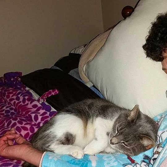 Coco