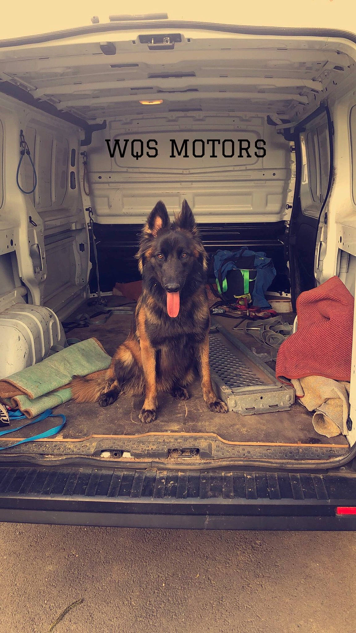 Hera participe au concours pour gagner de l'argent avec cette photo : automotive_exterior, automotive_tire, bumper, canidae, carnivore, companion_dog, dog, dog_breed, family_car, german_shepherd_dog, giant_dog_breed, heat, luxury_vehicle, metal, motor_vehicle, snout, sporting_group, tints_and_shades, vehicle, vehicle_door