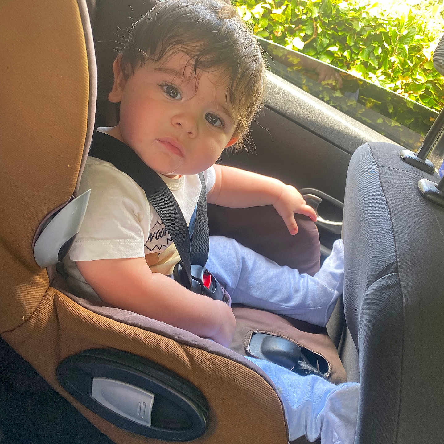 Eden participe au concours pour gagner de l'argent avec cette photo : baby, blue_pants, brown, car_seat, car_window, casual_clothing, child, curly_hair, indoors, inside_car, looking, person, safety, seat, seatbelt, sitting, sunlight, toddler, white_shirt, young_child