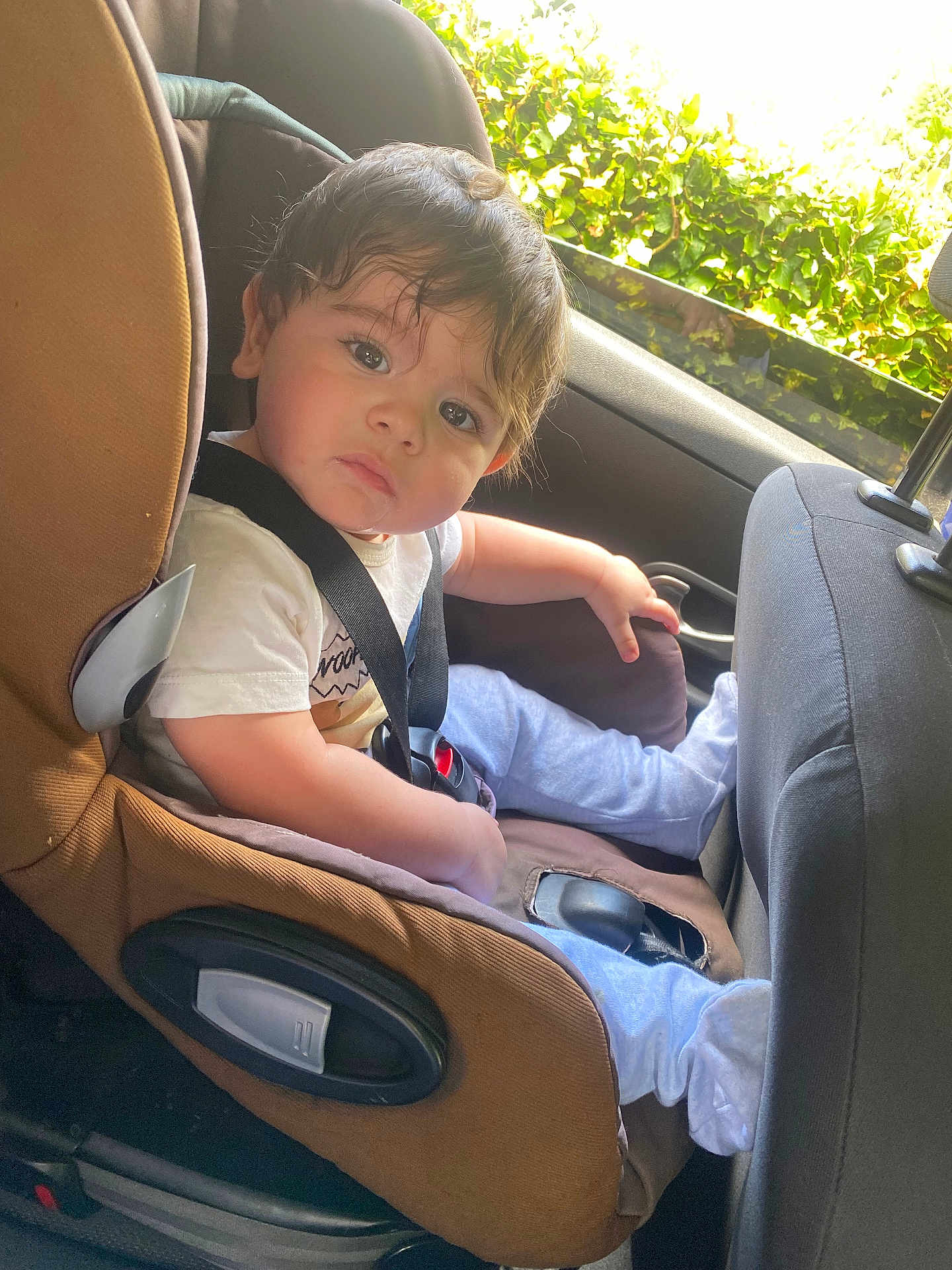 Eden participe au concours pour gagner de l'argent avec cette photo : toddler, child, car_seat, seatbelt, inside_car, brown, white_shirt, blue_pants, curly_hair, looking, sunlight, car_window, seat, baby, sitting, young_child, casual_clothing, safety, person, indoors