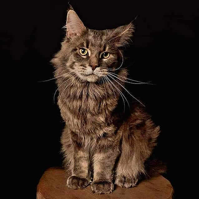 Ragnar
