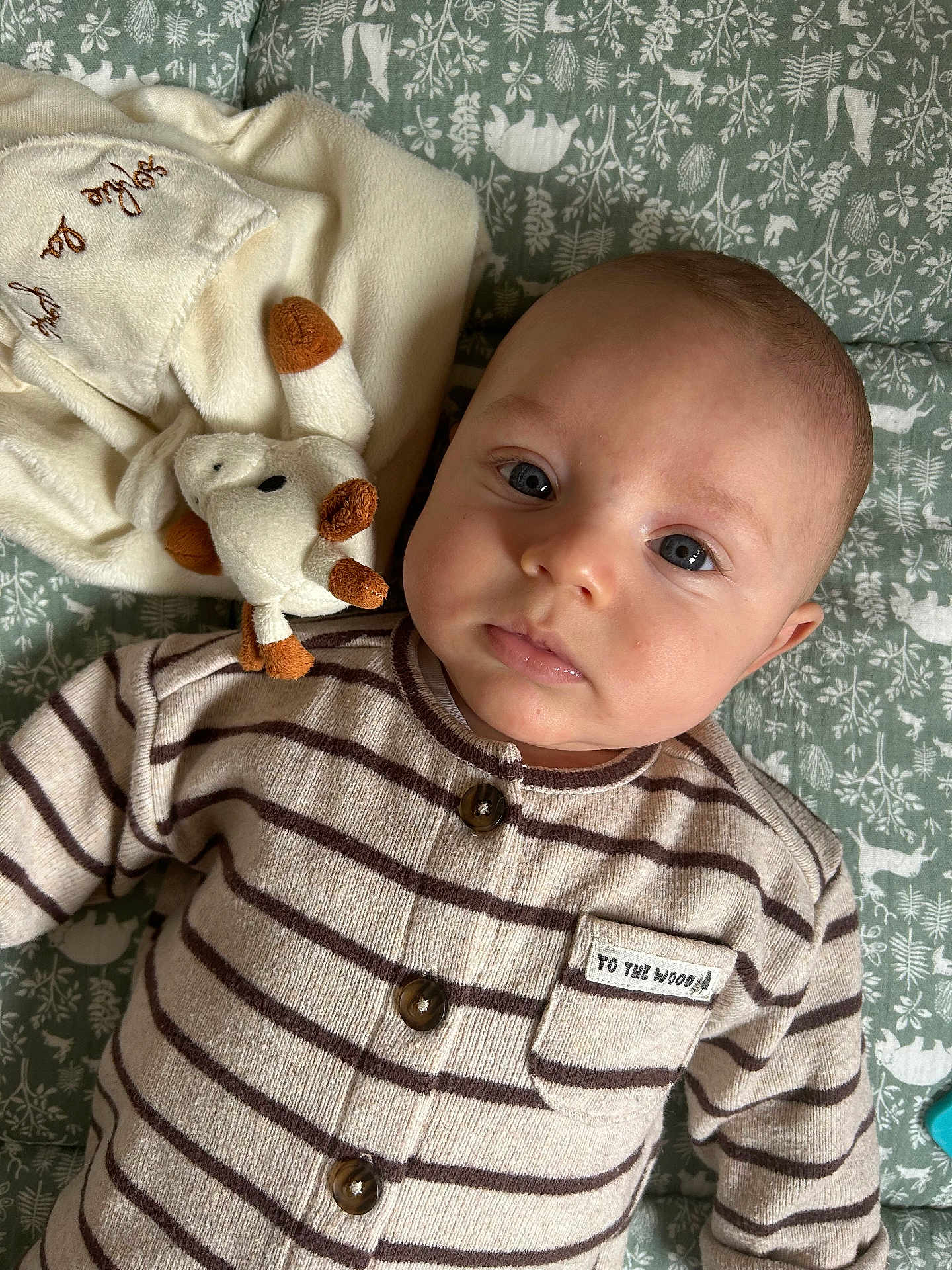 Paul a rejoint le concours — aidez-le/la à gagner de superbes lots ! baby, infant, face, eyes, striped_clothing, buttoned_shirt, pocket, plush_toy, blanket, green_blanket, patterned_blanket, nature_pattern, soft_toy, laying_down, closeup, indoor, cute, child, portrait, cozy