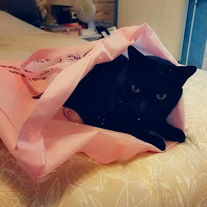 Lexie