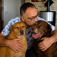 Pam a rejoint le concours — aidez-le/la à gagner de superbes lots ! man, dog, brown_dog, golden_dog, glasses, affection, hug, kiss, happy, indoor, home, furniture, smile, pet, love, person, casual_clothing, tile_floor, wooden_cabinet, stove