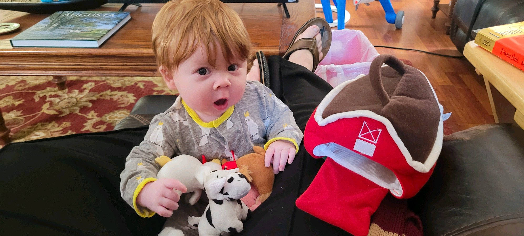 Tristen is registered to the contest to win money with this photo: baby, baby_toddler_clothing, backpack, bag, chair, child, comfort, event, face, fun, happy, holiday, lap, leisure, luggage_and_bags, person, photograph, room, sitting, snapshot