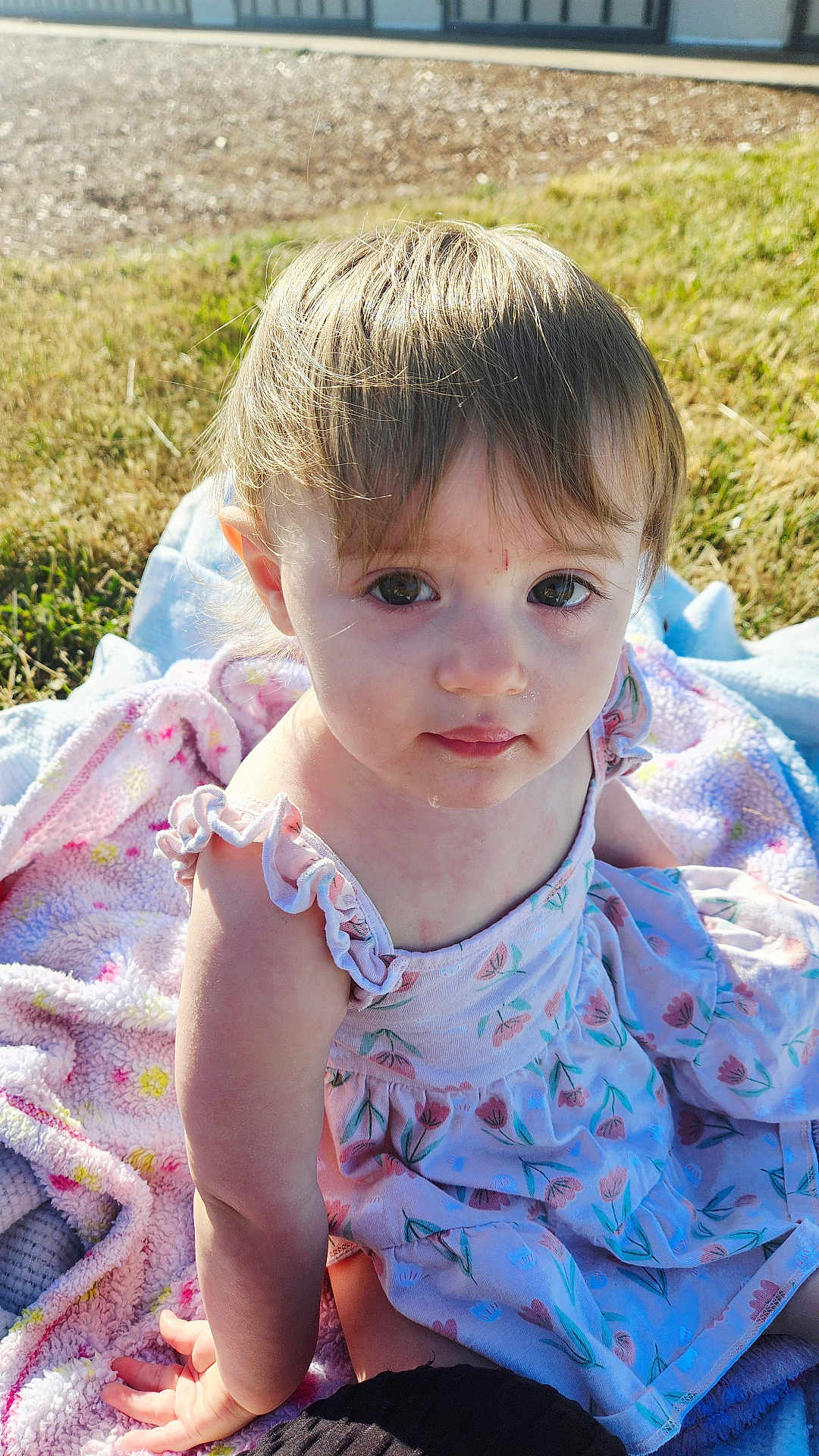 Faylin joined the competition — help win amazing prizes! child, toddler, baby, outdoor, sunlight, blanket, dress, floral_pattern, grass, cute, portrait, skin, face, eyes, hand, sitting, nature, daylight, young, play