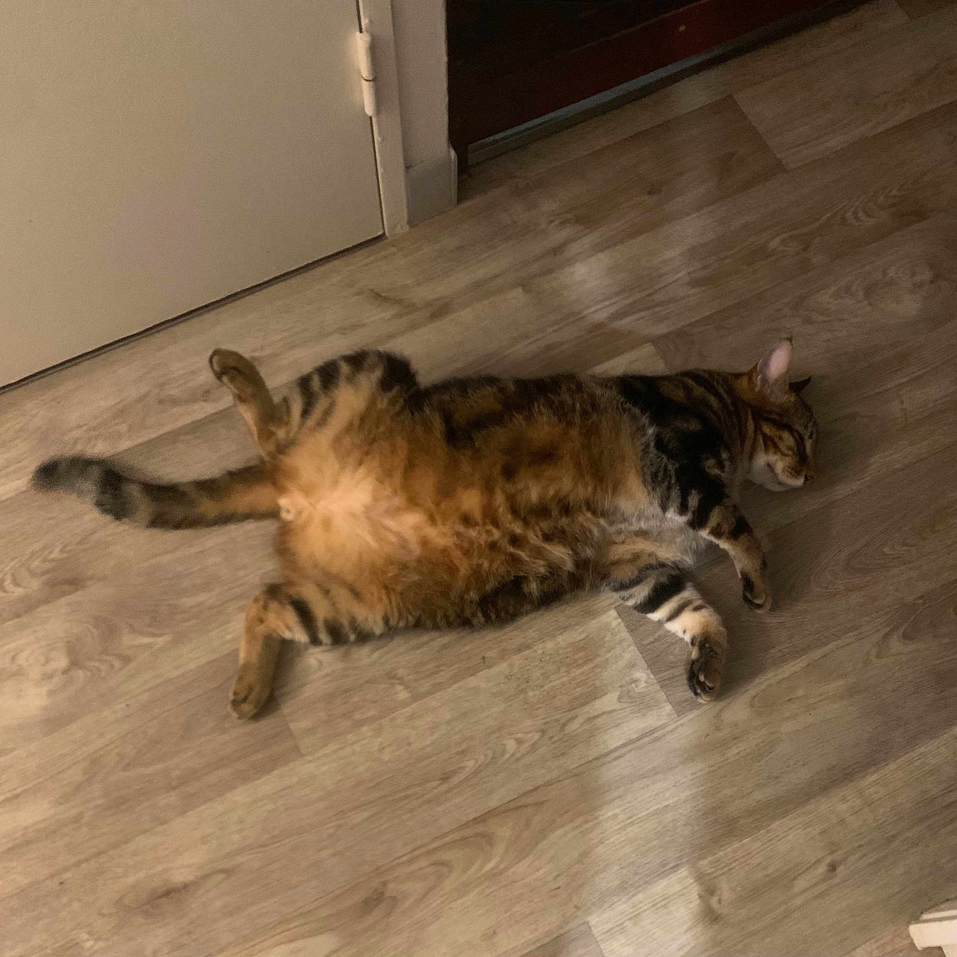 Léo