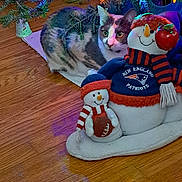 Patches is registered to the contest to win money with this photo: cat, christmas_tree, christmas_lights, holiday, festive, snowman, snow_globe, stuffed_toy, plush_toy, apple, football, patriots, scarf, hat, wooden_floor, indoor, pet, animal, colorful_lighting, portrait