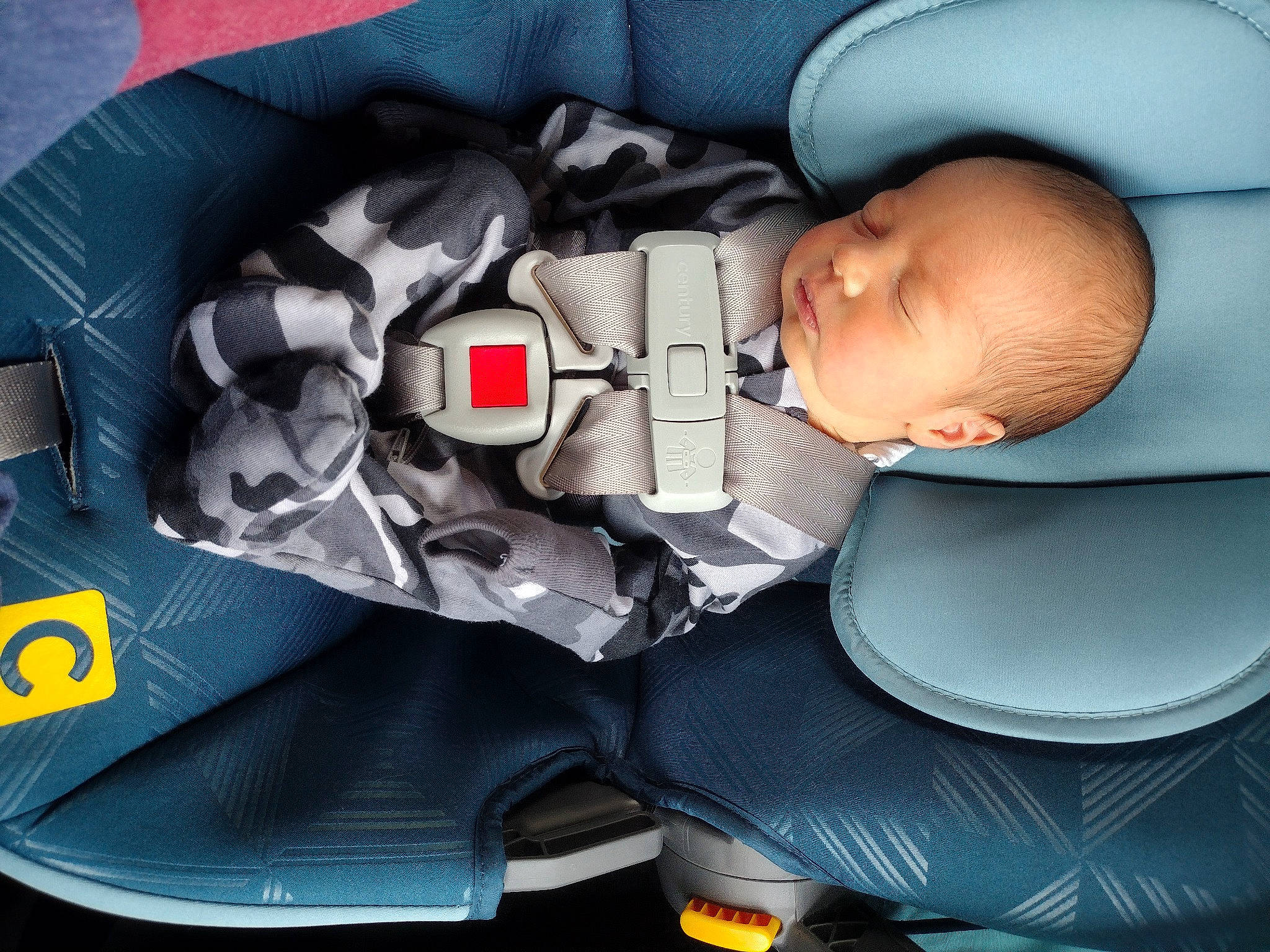 George is registered to the contest to win money with this photo: auto_part, automotive_design, baby, baby_carriage, baby_in_car_seat, baby_products, baby_sleeping, baby_toddler_clothing, car_seat, carmine, child, comfort, fashion_accessory, gadget, person, personal_protective_equipment, sitting, sleeve, toddler, toy