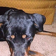 Isabel is registered to the contest to win money with this photo: