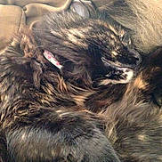 Dory joined the competition — help win amazing prizes!