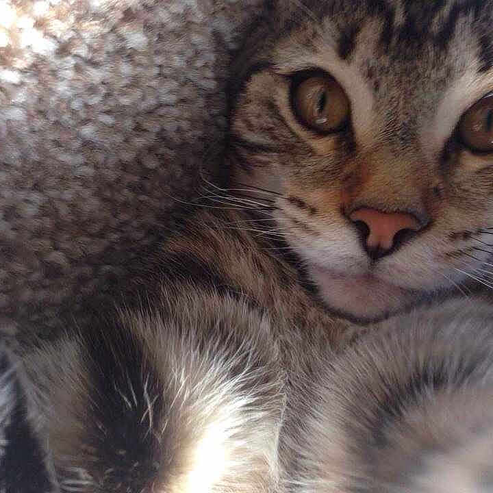 Chisum is registered to the contest to win money with this photo: