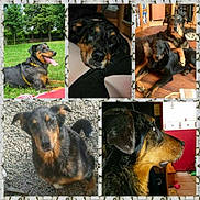 Cleo a rejoint le concours — aidez-le/la à gagner de superbes lots !