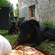 Hades participe au concours pour gagner de l'argent avec cette photo :