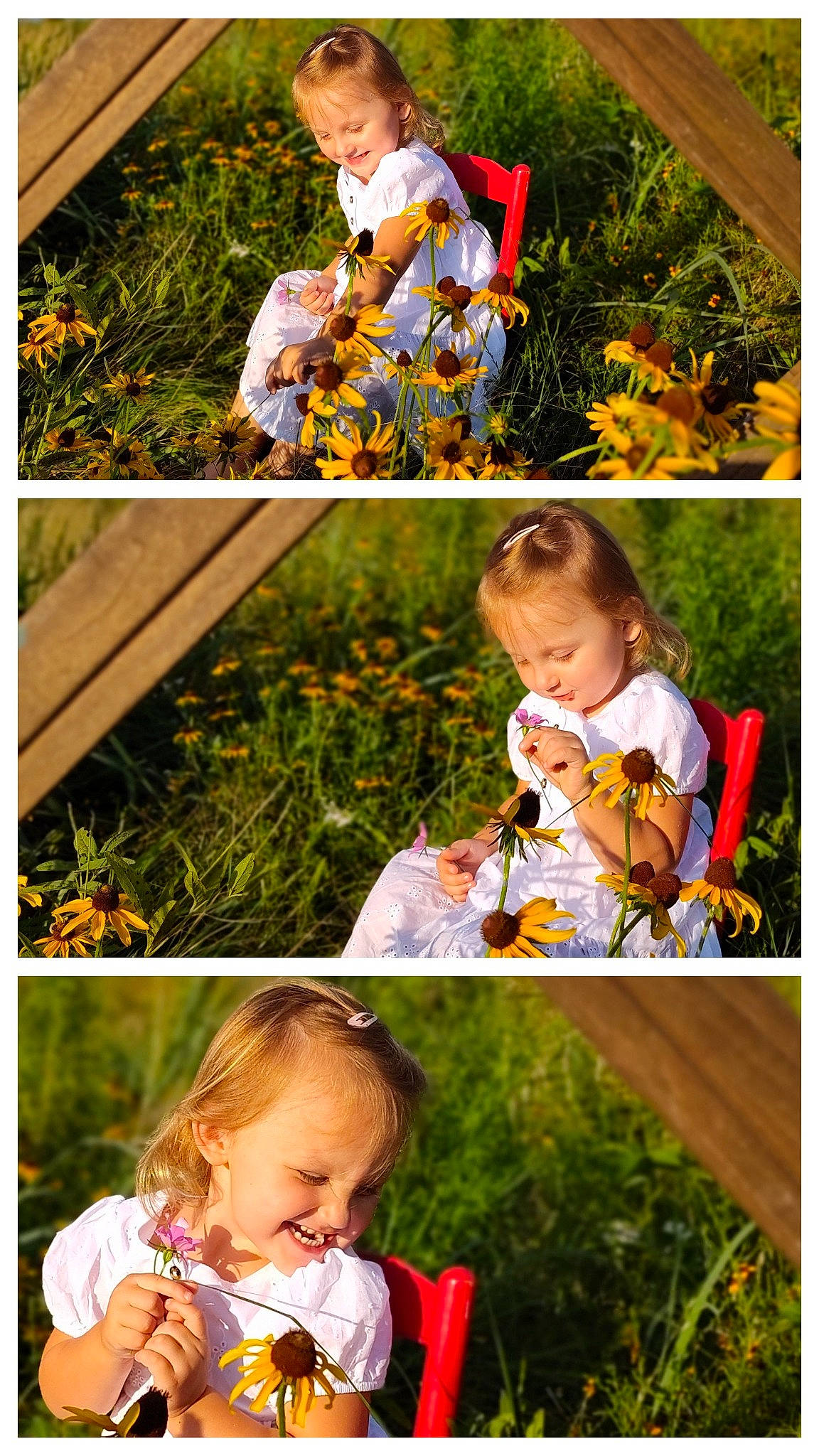 Juniper is registered to the contest to win money with this photo: baby, baby_toddler_clothing, beauty, child, collage, face, flower, grass, green, happy, head, joy, orange, pattern, people_in_nature, person, photograph, plant, snapshot, terrestrial_plant