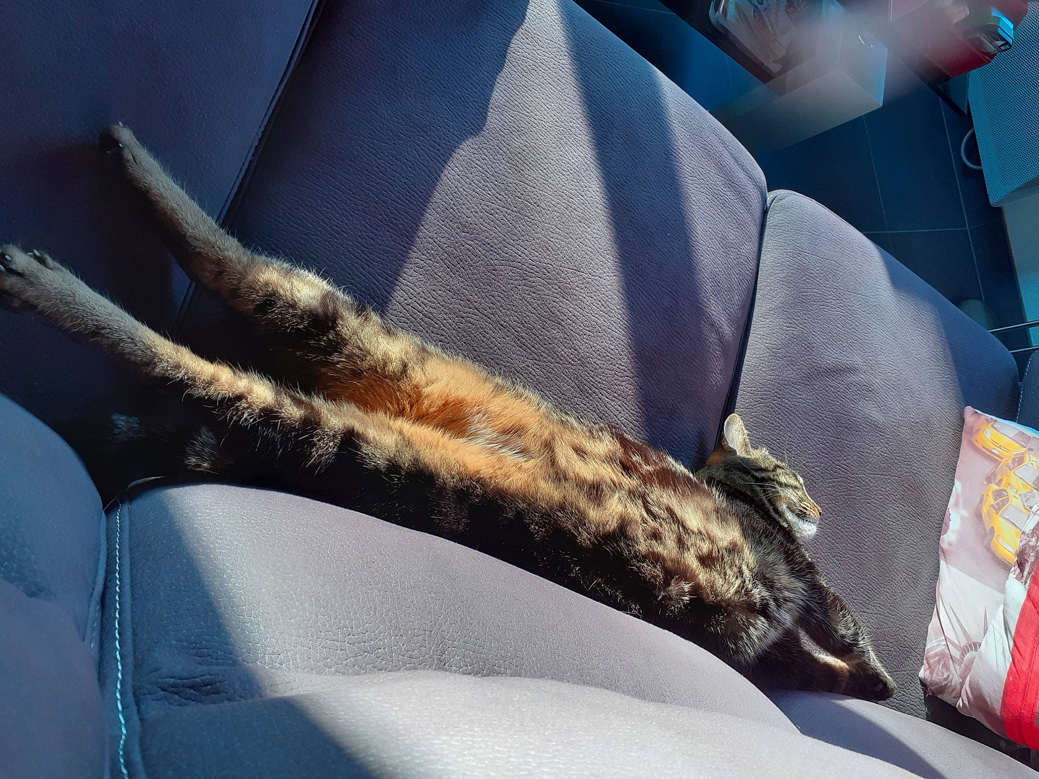 Gribouille a rejoint le concours — aidez-le/la à gagner de superbes lots ! hand