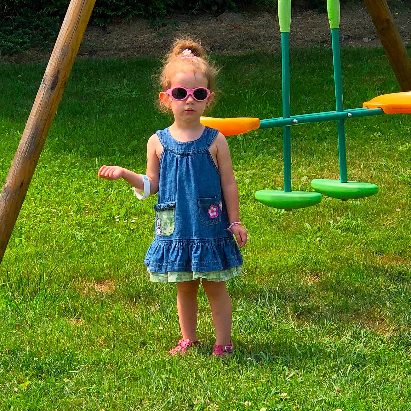 Elena participe au concours pour gagner de l'argent avec cette photo : backyard, fun, grass, grass_family, green, lawn, leisure, outdoor_play_equipment, plant, recreation, tree, wood