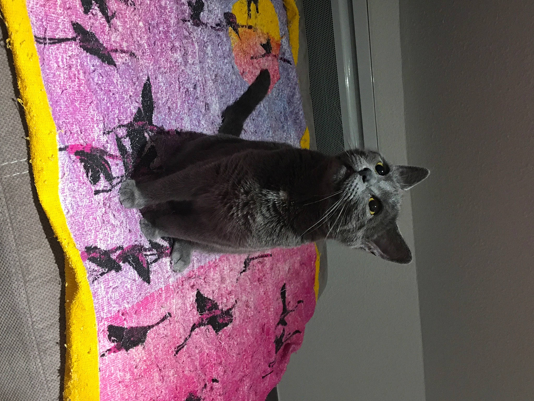 Saya participe au concours pour gagner de l'argent avec cette photo : art, carmine, creative_arts, fashion_accessory, grey, illustration, ink, linens, magenta, paint, painting, pattern, pink, purple, sculpture, still_life_photography, tail, tints_and_shades, visual_arts, wood