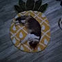 Mimine a rejoint le concours — aidez-le/la à gagner de superbes lots ! cat, circle, dish, fashion_accessory, fawn, felidae, flooring, natural_material, pattern, paw, tail, terrestrial_animal, wood