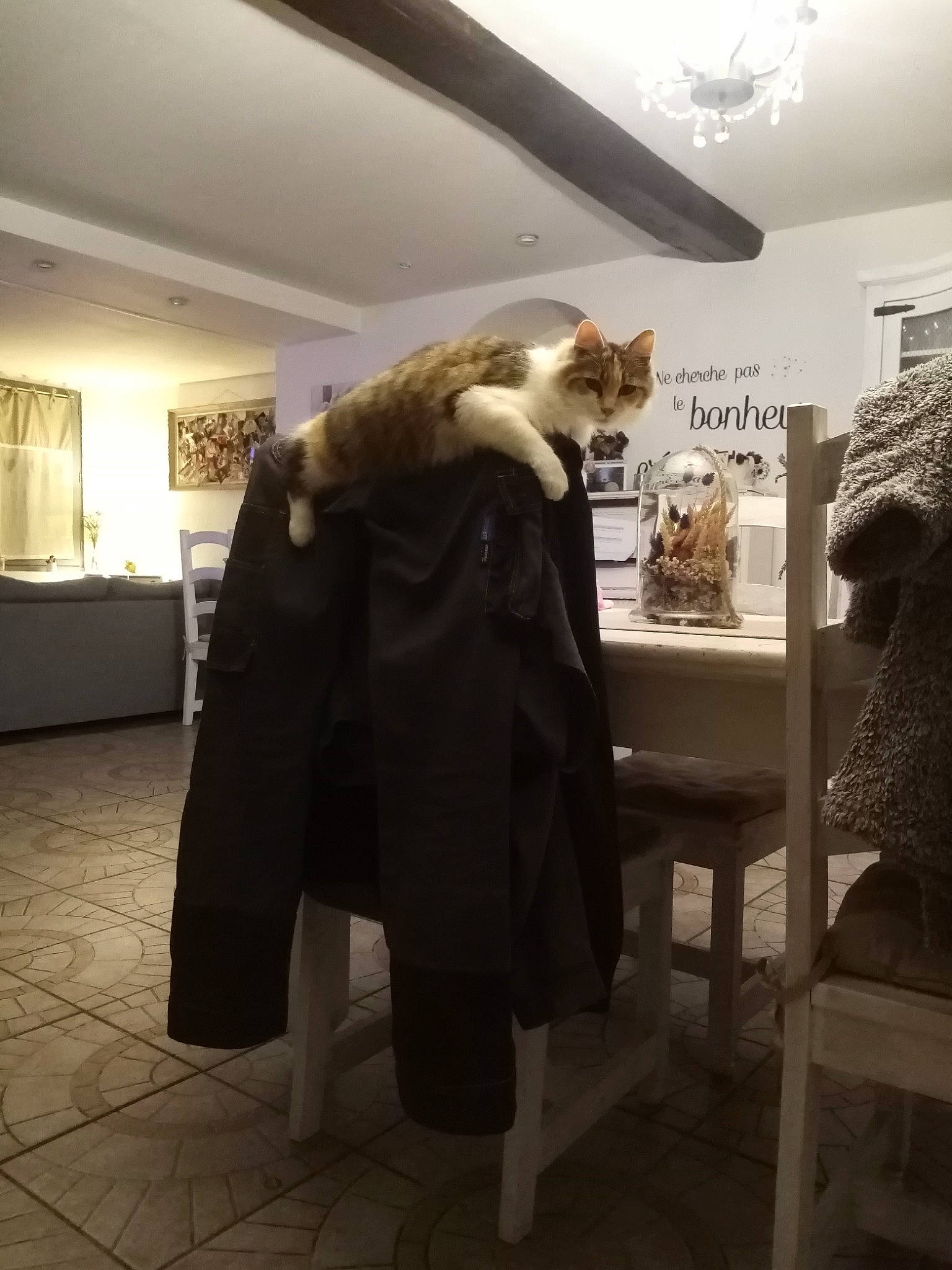 Mimine participe au concours pour gagner de l'argent avec cette photo : art, bag, ceiling, event, eyewear, fashion_design, flooring, fun, fur, fur_clothing, handbag, overcoat, picture_frame, retail, room, scarf, shawl, tourist_attraction, trench_coat, visual_arts