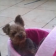 Hugo participe au concours pour gagner de l'argent avec cette photo :