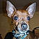 Mylo