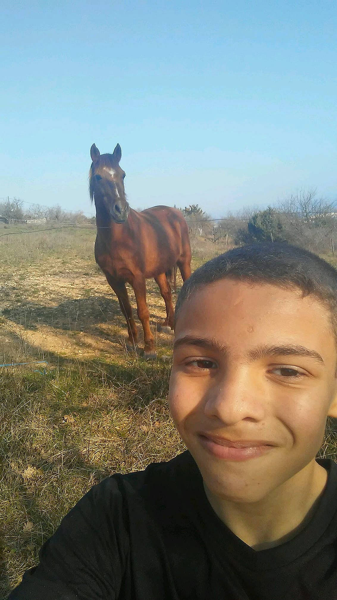 Elizio a rejoint le concours — aidez-le/la à gagner de superbes lots ! grass, grassland, happy, horse, horse_supplies, joy, landscape, liver, livestock, mane, mare, pack_animal, pasture, person, sky, smile, sorrel, stallion, terrestrial_animal, travel