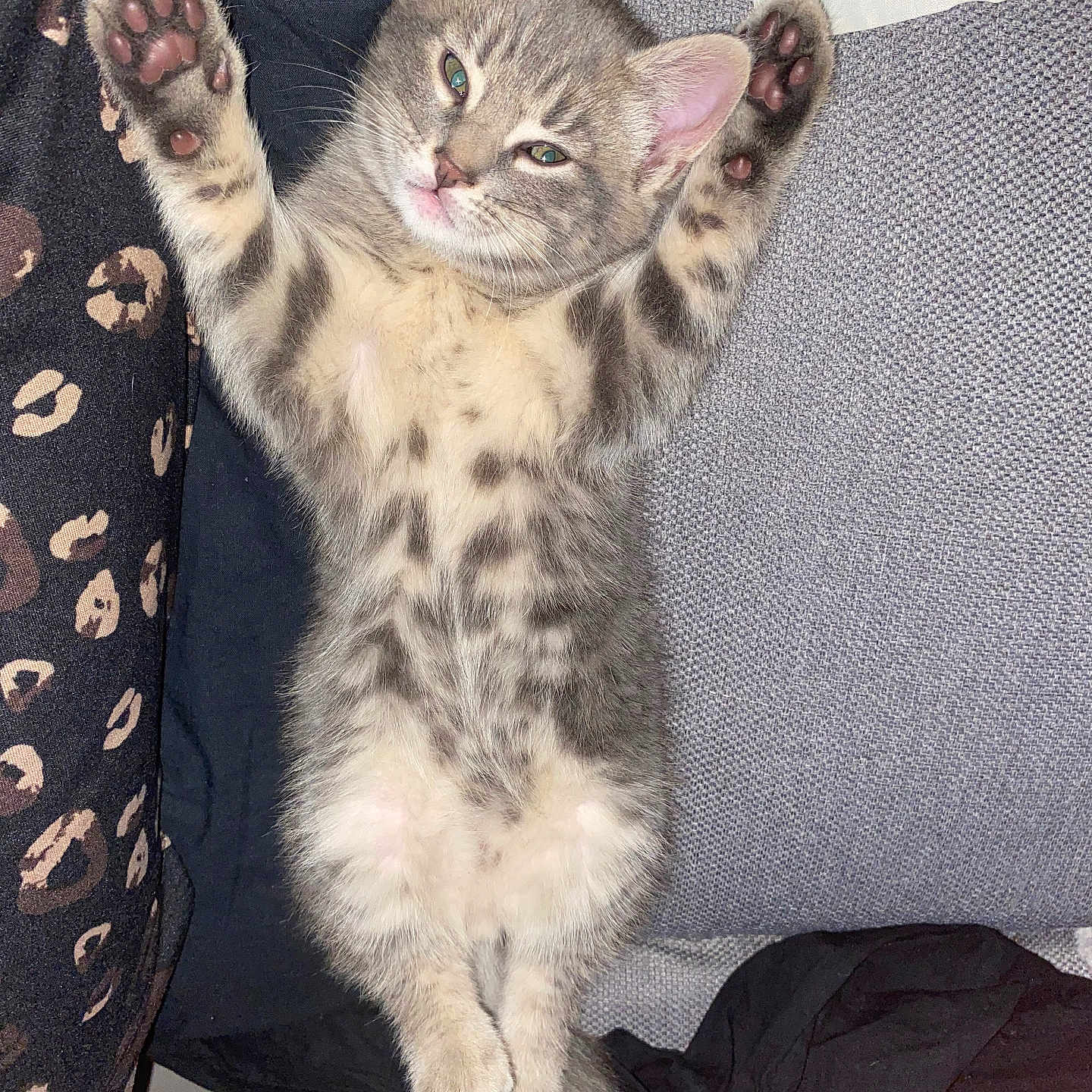 Kiki