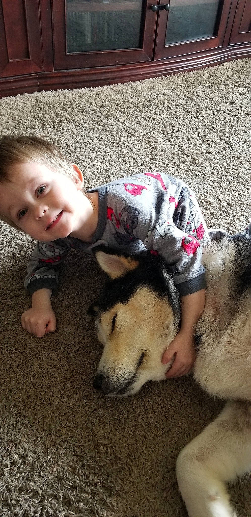 Owen joined the competition — help win amazing prizes! canidae, carnivore, child, companion_dog, dog, dog_breed, fawn, joy, labrador_husky, mammal, person, puppy_love, rare_breed_dog, siberian_husky, sporting_group, toddler, wolfdog