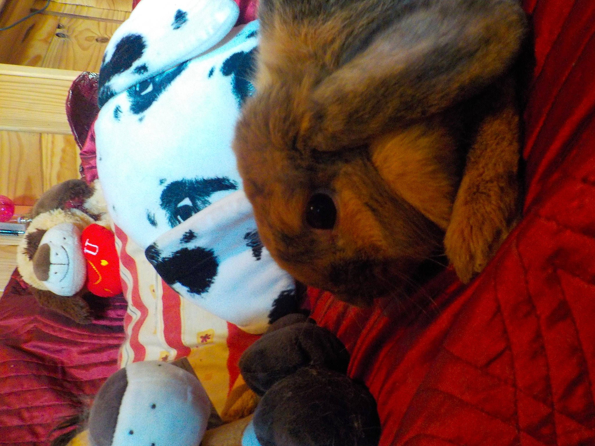 Rosabelle participe au concours pour gagner de l'argent avec cette photo : canidae, child, fawn, fur, plush, puppy, rodent, snout, stuffed_toy, teddy_bear, textile, toy