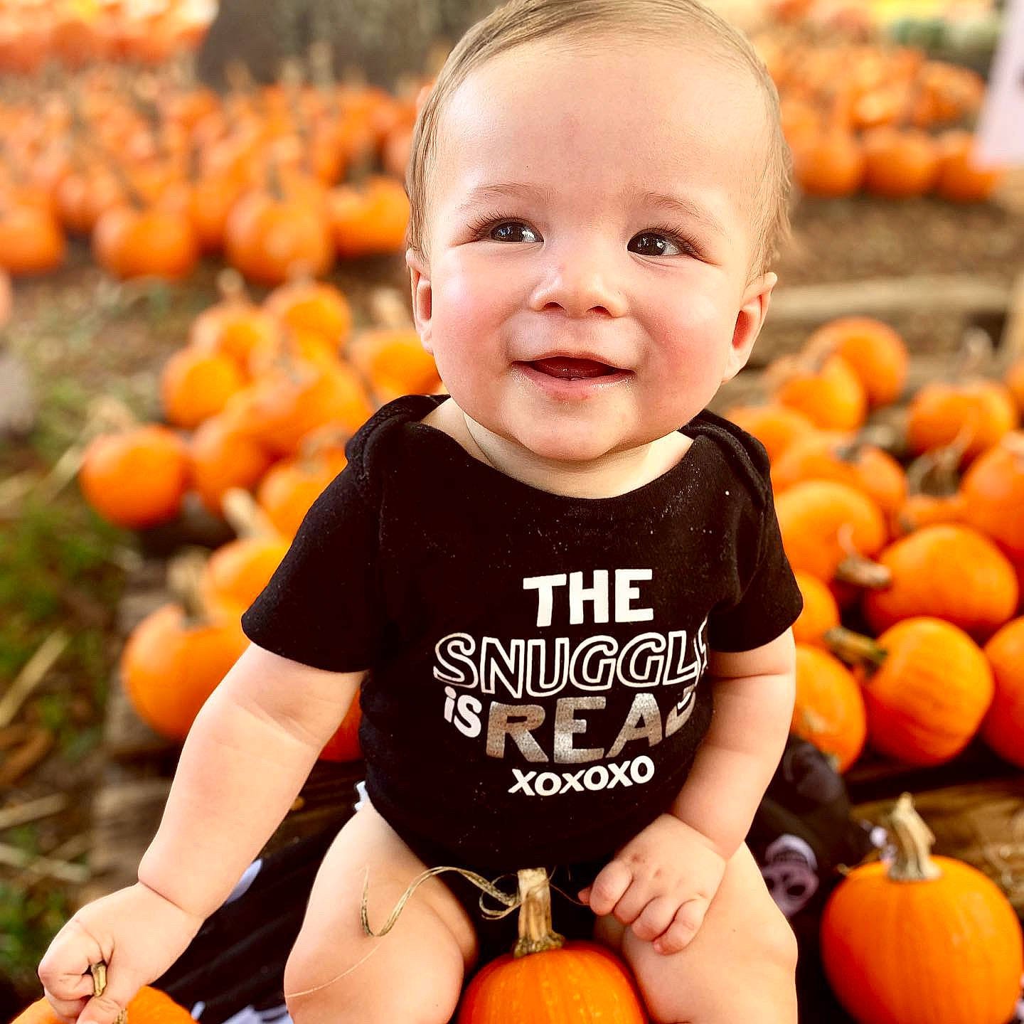 Zayn is registered to the contest to win money with this photo: baby, calabaza, child, cucurbita, food, fruit, local_food, natural_foods, orange, person, plant, product, pumpkin, smile, t_shirt, toddler, vegetable, vegetarian_food, whole_food, winter_squash
