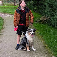 Igorh participe au concours pour gagner de l'argent avec cette photo : accessories, animal, boy, canine, clothing, coat, dog, face, footwear, grass, head, jacket, male, pants, person, pet, plant, shoe, strap, teen