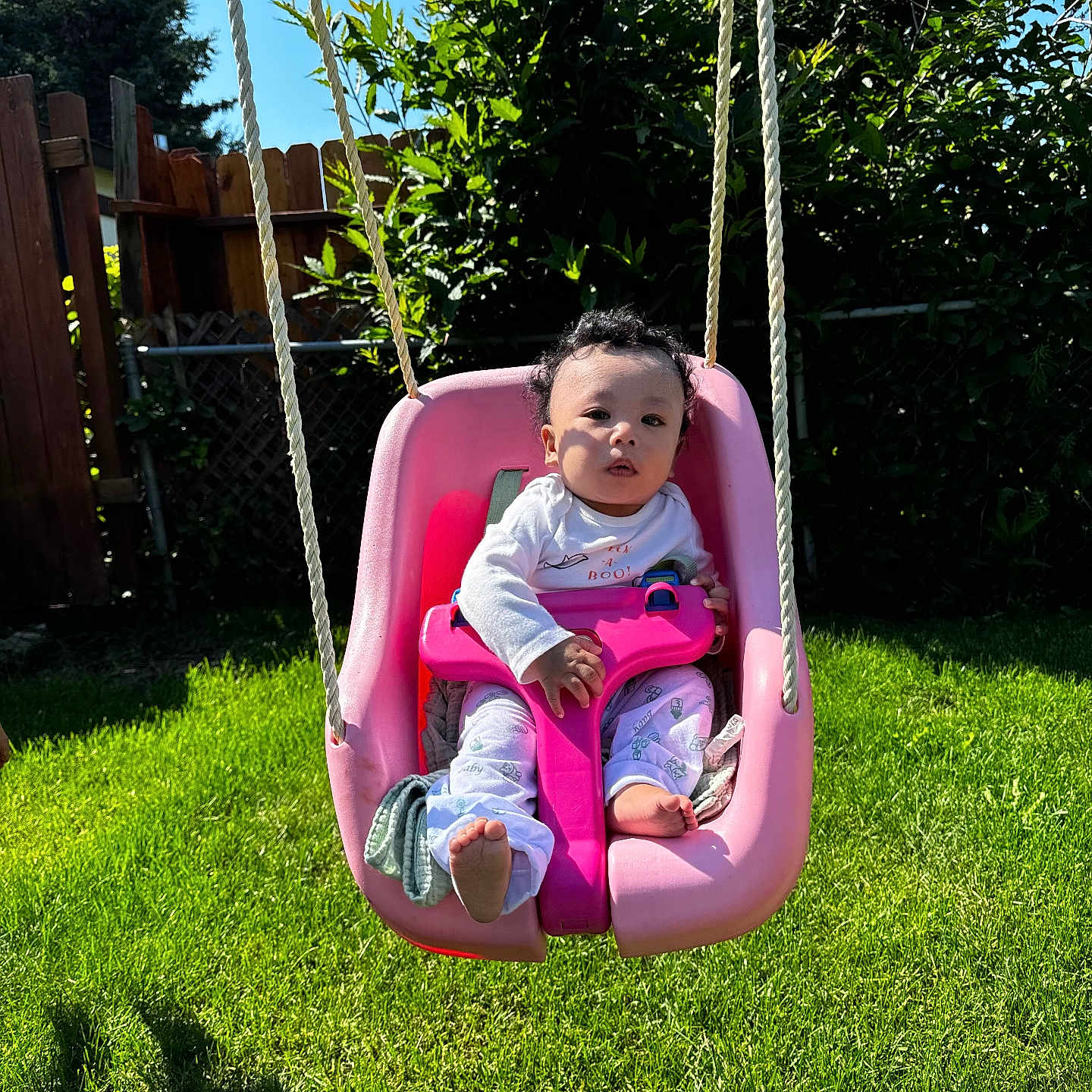 Kingston joined the competition — help win amazing prizes! baby, backyard, face, grass, head, lawn, nature, outdoorplayarea, outdoors, park, person, photography, plant, playarea, portrait, summer, swing, toy, tree, yard