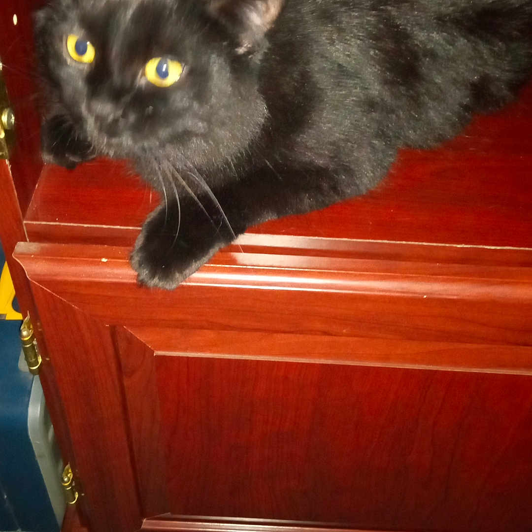 Luna