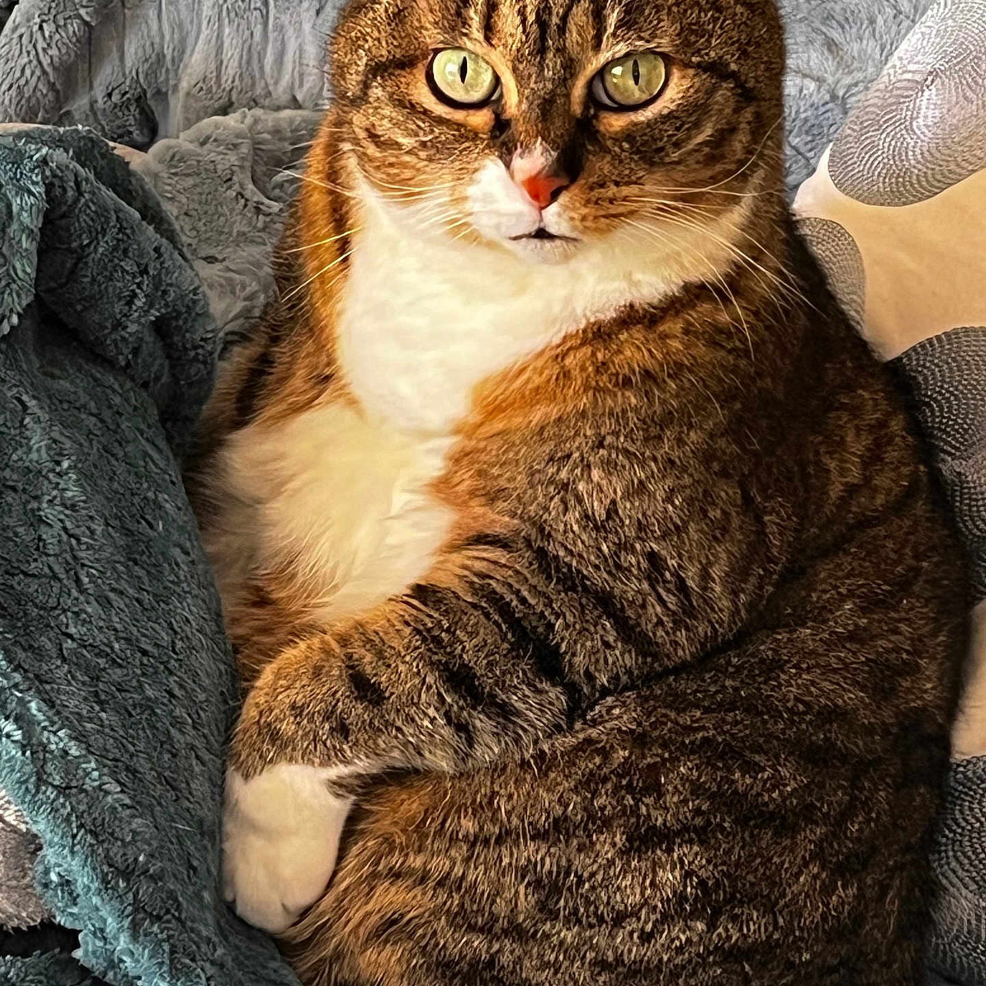 Sally