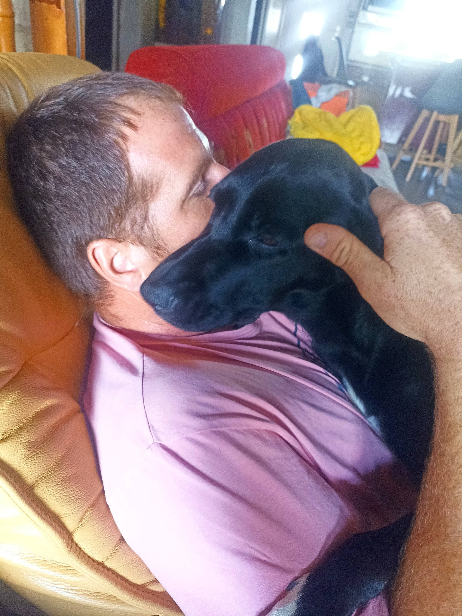 Taïna participe au concours pour gagner de l'argent avec cette photo : canidae, carnivore, comfort, companion_dog, dog, dog_breed, ear, fun, fur, gesture, guard_dog, love, puppy, selfie, sitting, snout, sporting_group, working_animal