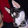 Kevin L.