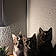 Kitrens
