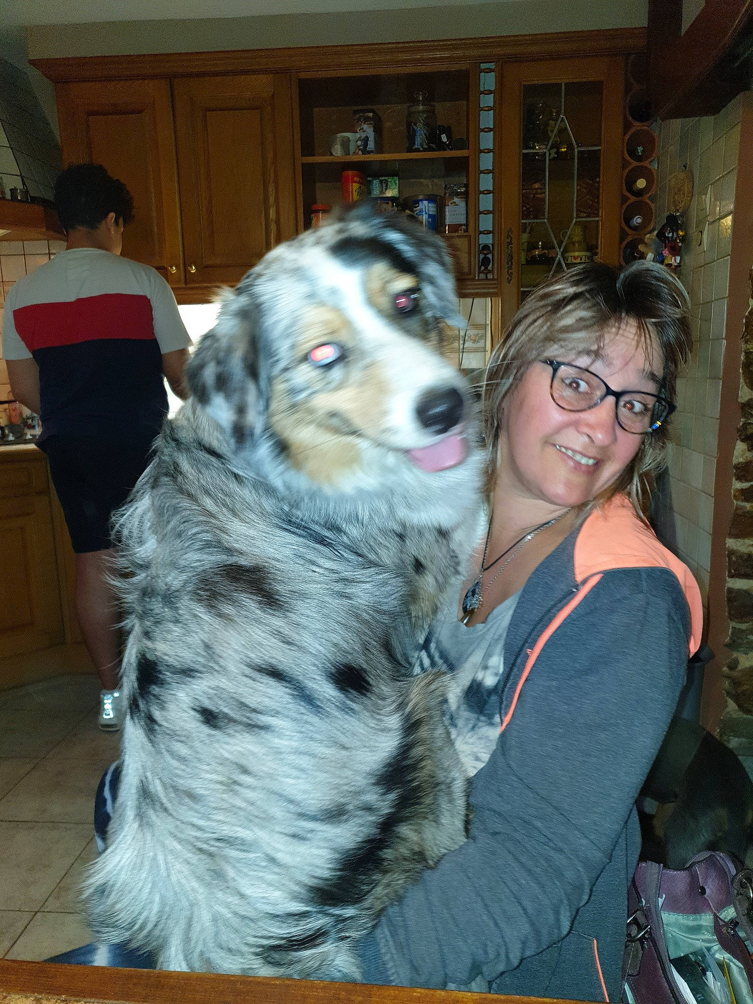 Oupso participe au concours pour gagner de l'argent avec cette photo : australian_shepherd, canidae, carnivore, dog, dog_breed, english_setter, koolie, mammal, miniature_australian_shepherd, setter, sporting_group, texas_heeler, vertebrate