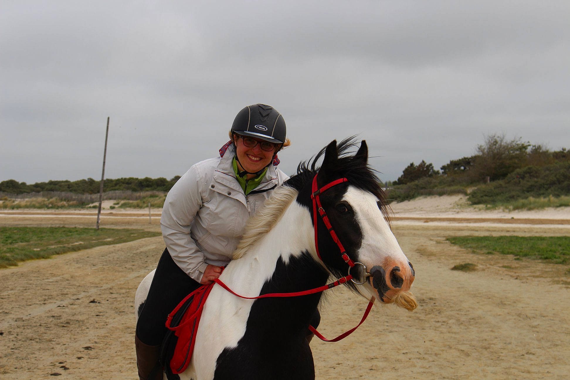 Crest a rejoint le concours — aidez-le/la à gagner de superbes lots ! animal_sports, bridle, equestrianism, halter, horse, horse_supplies, horse_tack, horse_trainer, jockey, joy, mammal, mane, mare, pack_animal, person, recreation, rein, riding_instructor, saddle, stallion